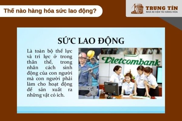 Click image for larger version

Name:	hang-hoa-suc-lao-dong-1-600x400.jpg
Views:	2
Size:	53.9 KB
ID:	31044