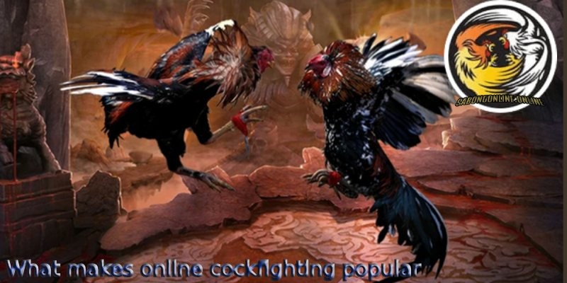 Click image for larger version

Name:	What-makes-online-cockfighting-popular.jpg
Views:	8
Size:	84.3 KB
ID:	40319