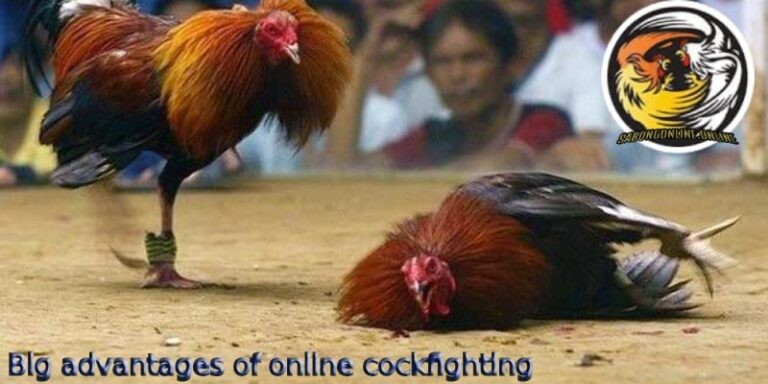 Click image for larger version

Name:	Big-advantages-of-online-cockfighting-768x384.jpg
Views:	7
Size:	71.0 KB
ID:	40321