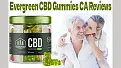 Click image for larger version

Name:	CBD-Gummies0808_d.webp
Views:	2
Size:	38.3 KB
ID:	11394