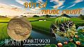 Click image for larger version

Name:	CHUOT - POSTER.jpg
Views:	88
Size:	200.8 KB
ID:	1850
