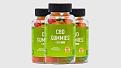 Click image for larger version

Name:	blissful wellness cbd gummies.jpg
Views:	5
Size:	25.1 KB
ID:	20503
