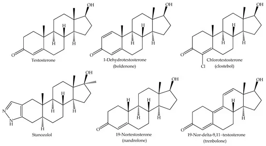 Boldenone and Testosterone Cycle
